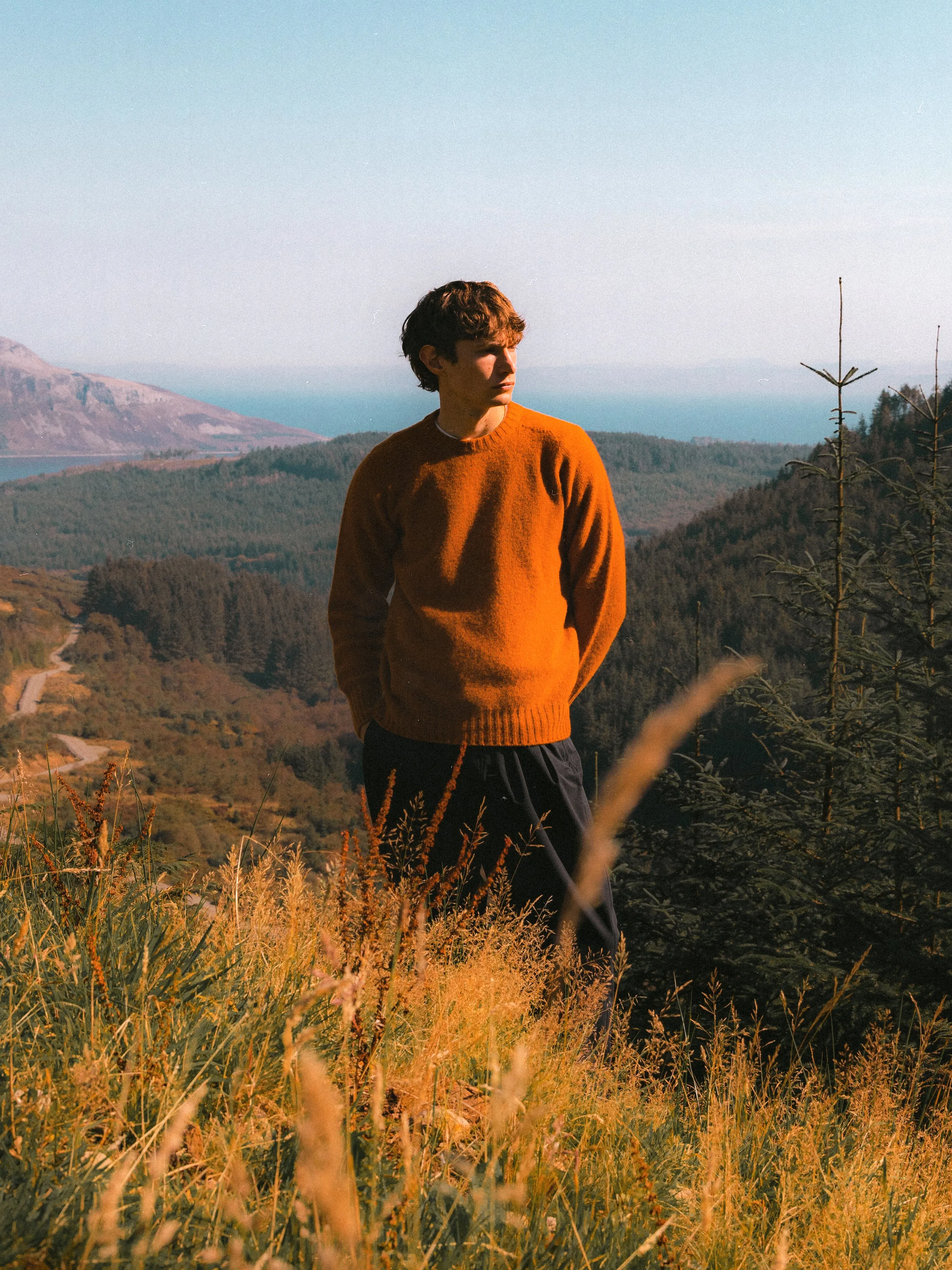 Brushed Shetland Crew in Tangerine Lambswool